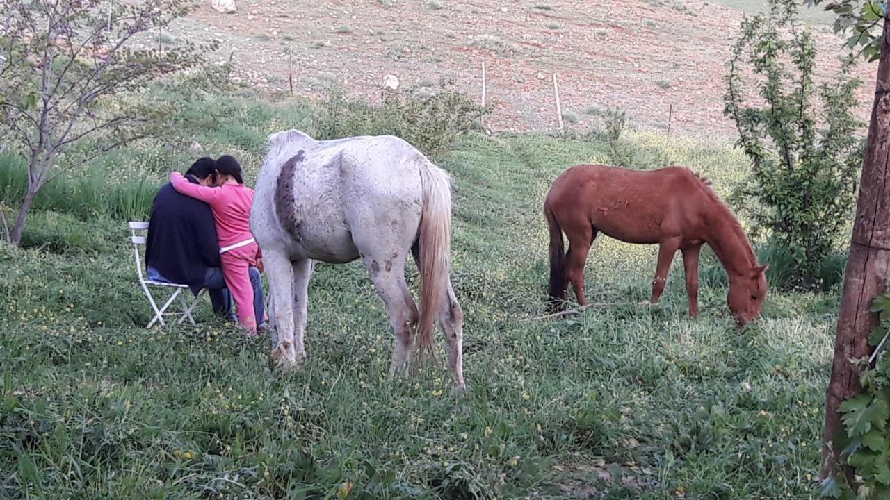 Le Chene D'Azrou Otel Dış mekan fotoğraf