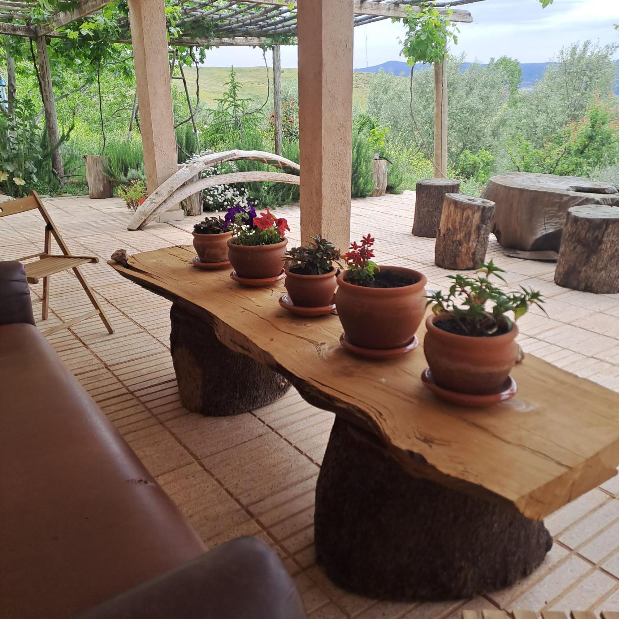 Le Chene D'Azrou Otel Dış mekan fotoğraf