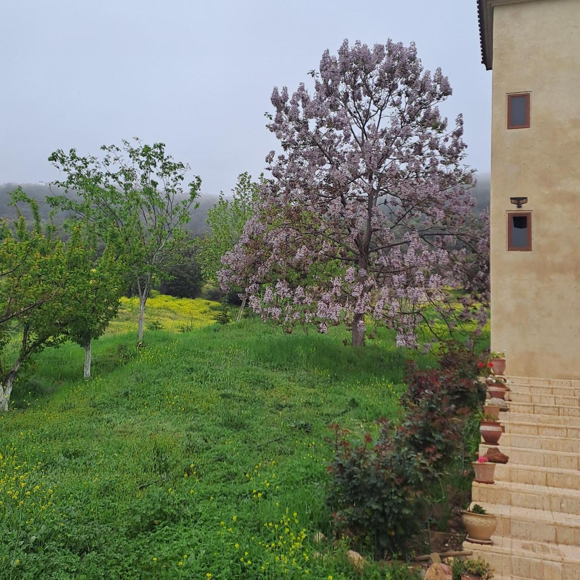 Le Chene D'Azrou Otel Dış mekan fotoğraf