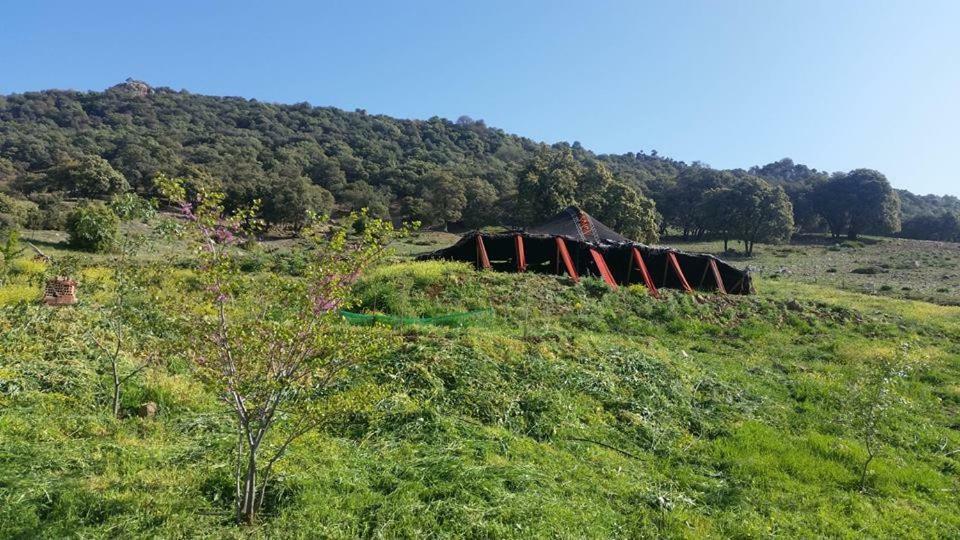 Le Chene D'Azrou Otel Dış mekan fotoğraf
